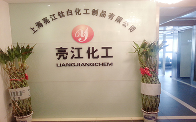 중국 Shanghai Liangjiang Titanium White Product Co., Ltd. 공장